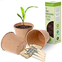 Macetas redondas de fibra biodegradable para plantar- macetas pequeñas de fibra para decoración- macetas de semillas…